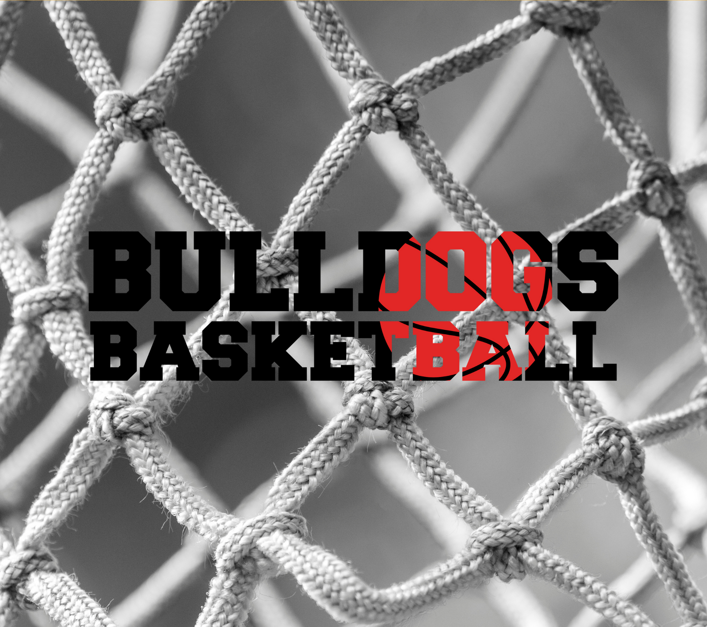 Bulldog basketball w/ net